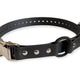 Collar Belts with Bungee and Quick-release Clasp