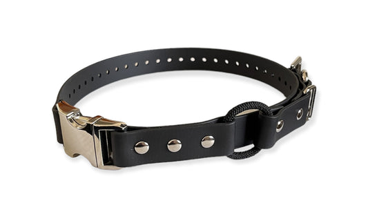 Collar Belts with Bungee and Quick-release Clasp