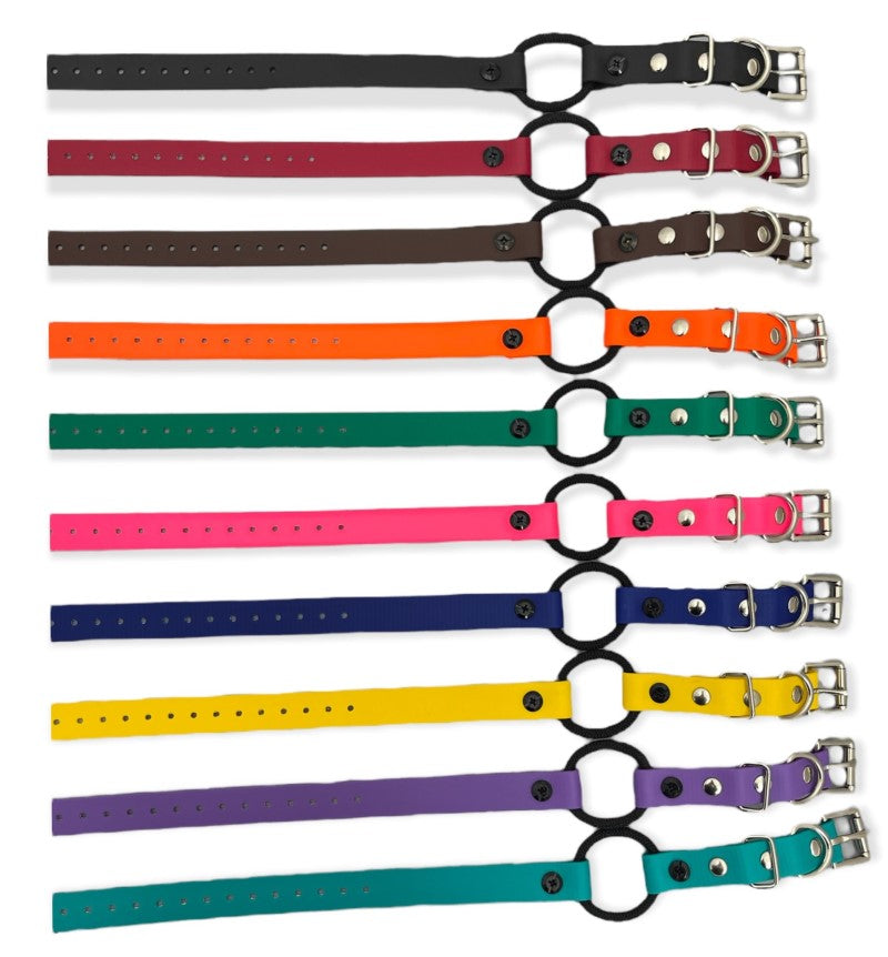 3/4 Inch Bungee Collar Strap (33 Inch Length)