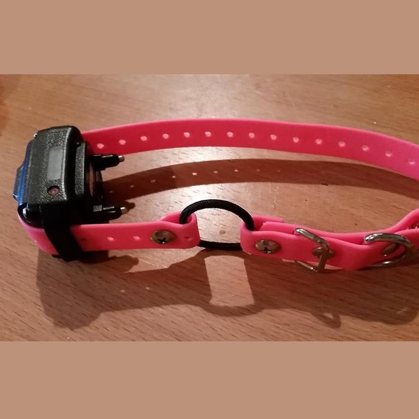 1 inch Biothane Collar Strap with Bungee