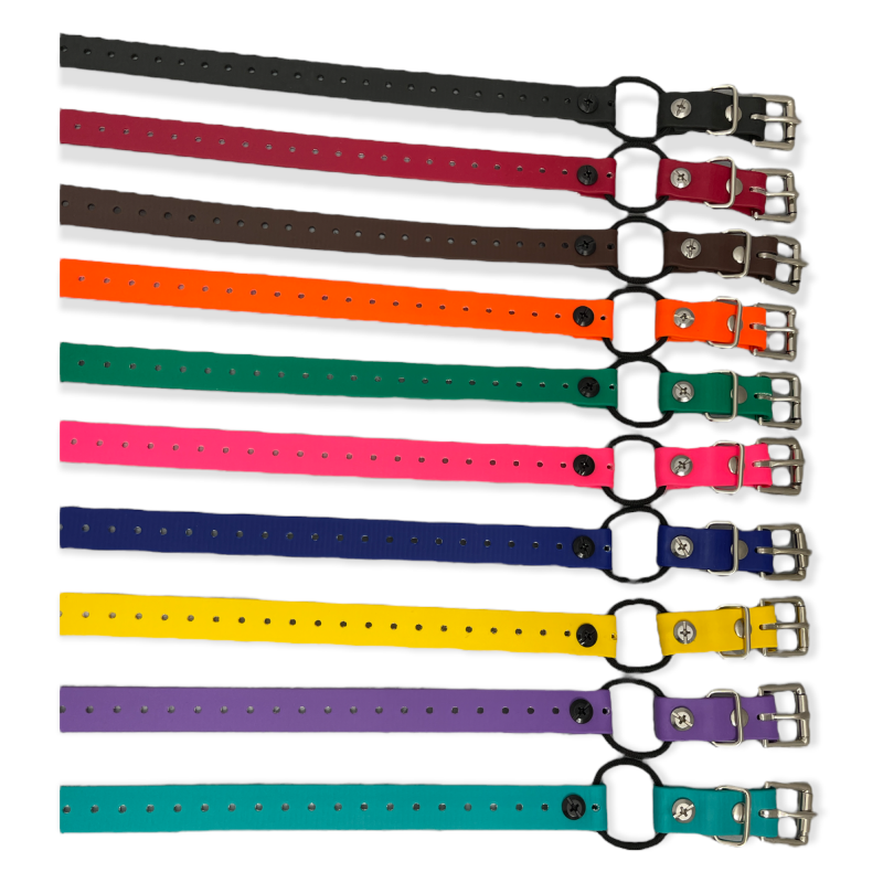 3/4" Mini Bungee Collar Strap For Smaller Dogs