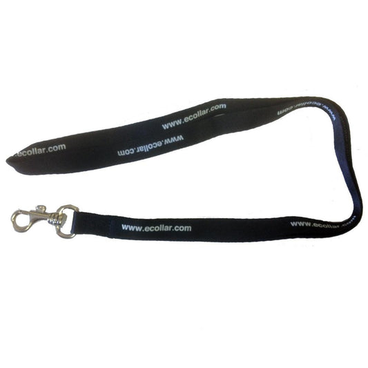 Lanyard