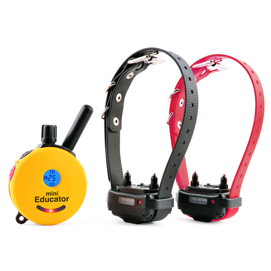 ET-302 MINI Educator Collar Remote Trainer